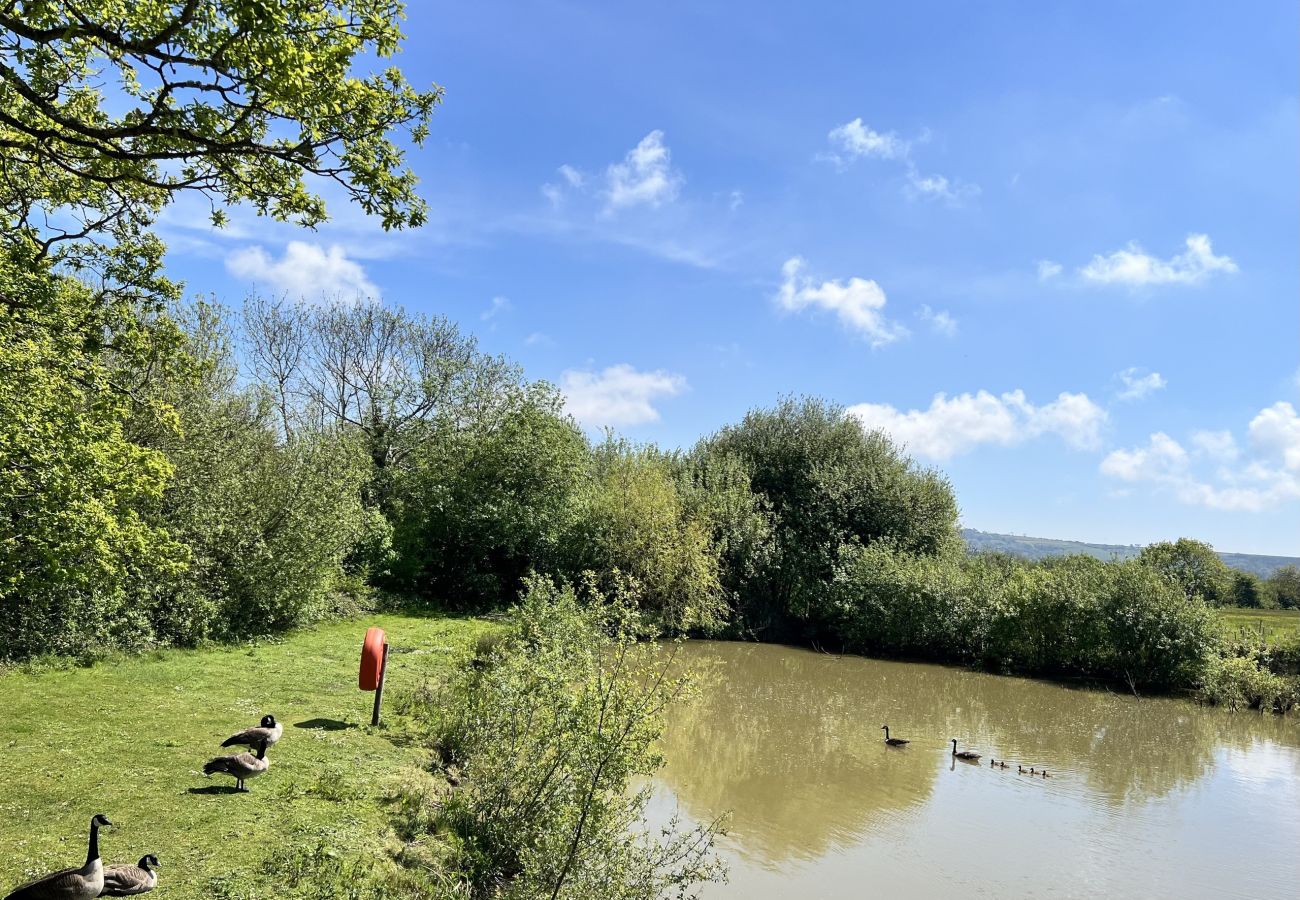 Roebeck Country Park, Ryde, Isle of Wight